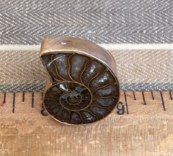 Ammonite fossil ring