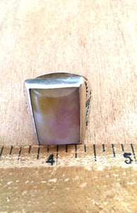 Petrified wood and sterling ring